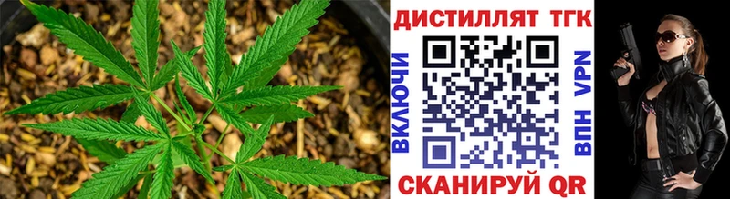 ТГК концентрат Оса