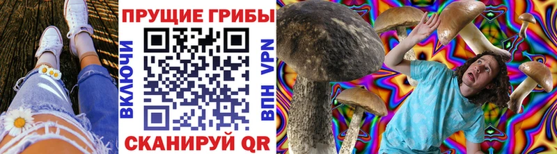 дарнет шоп  Оса  Галлюциногенные грибы MAGIC MUSHROOMS 